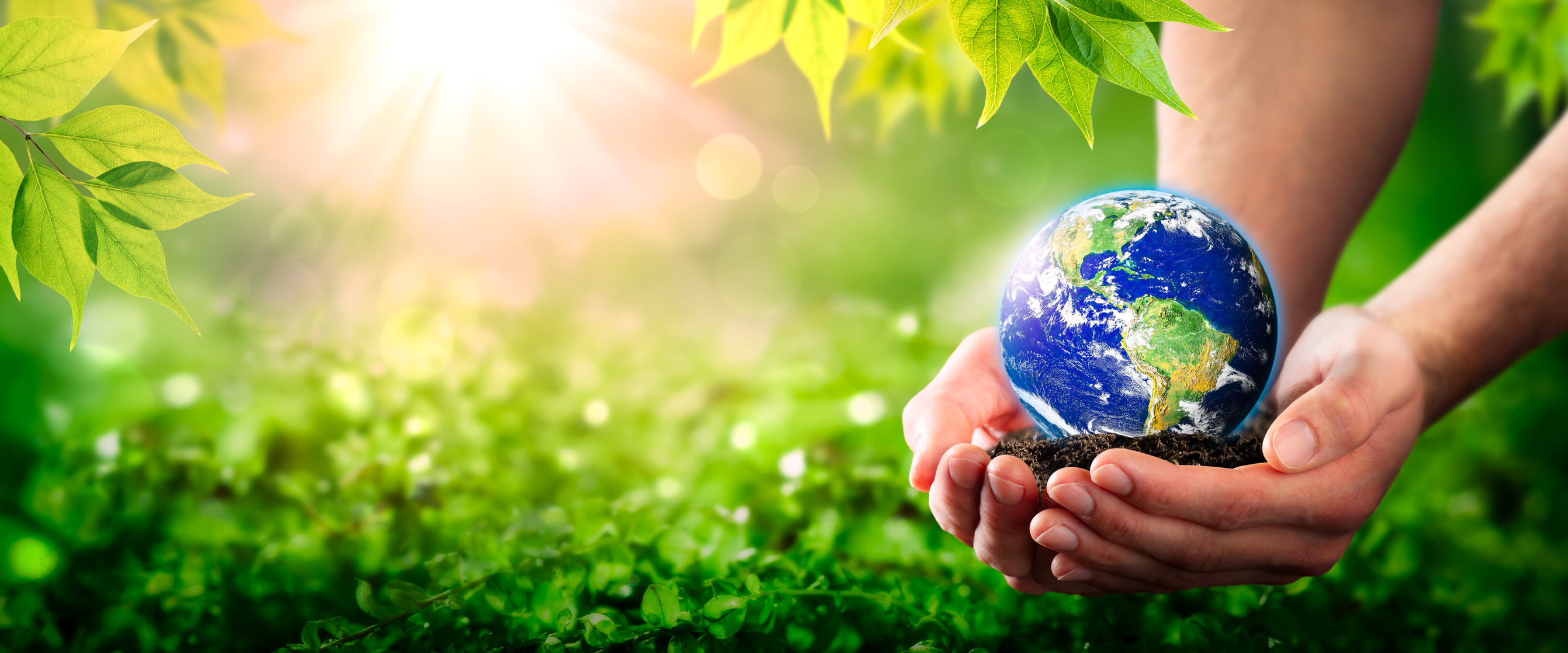 NEW ! Sustainable Finance Basics for the Insurance sector - Corporate (& Life Product ) impacts