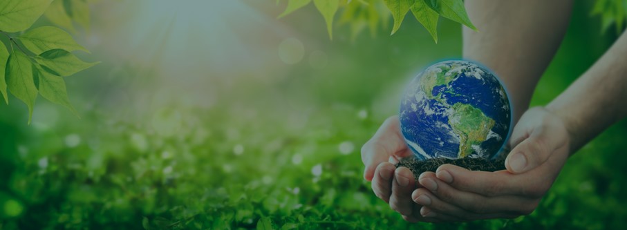 Sustainable Finance Basics for the Insurance sector - Corporate impacts